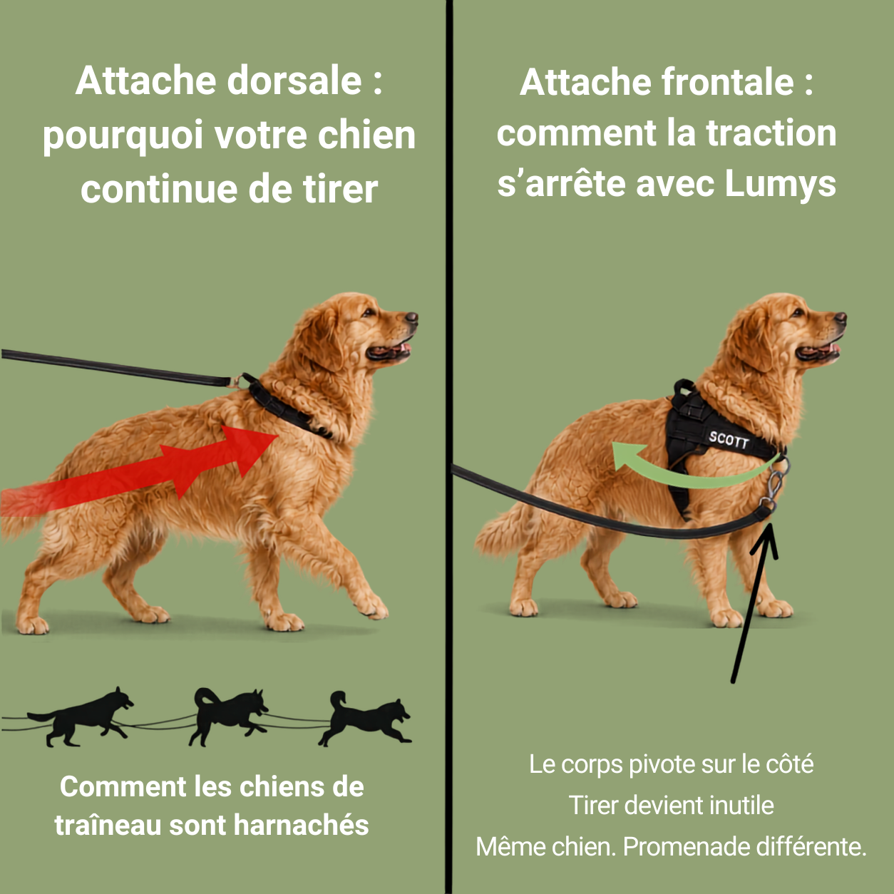 Lumys Control