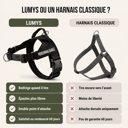 Lumys Control