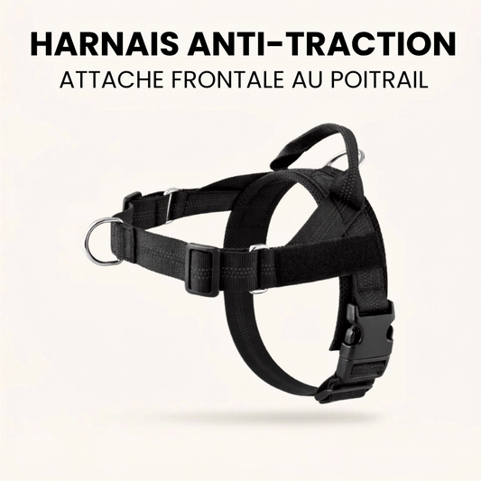 Lumys Control - Harnais anti-traction